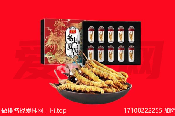 海南文昌市回收虫草.jpg
